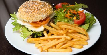 burger with fries
