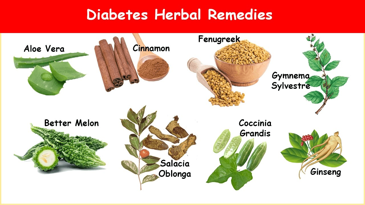 Diabetes Herbal Remedies diet