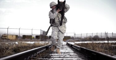 soldier carrying a dog