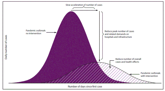 This is a diagram that shows how the coronovirus peaks